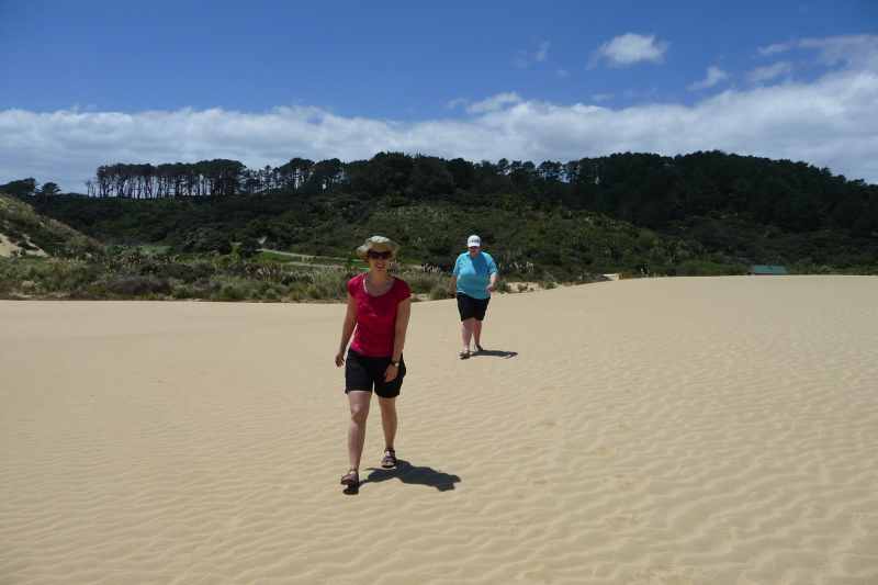 Nieuw-Zeeland 2011 - 0364